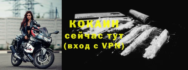 эйфоретик Арсеньев