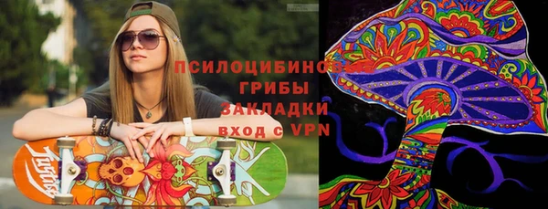 индика Армянск