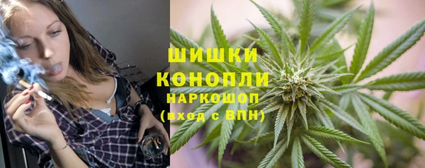 эйфоретик Арсеньев
